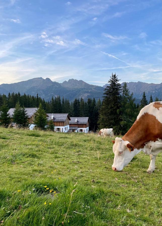 Almdorf Omlach, Fanningberg Weisspriach Εξωτερικό φωτογραφία
